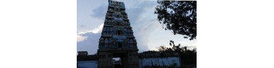 215. திருநெல்வாயில் அரத்துறை